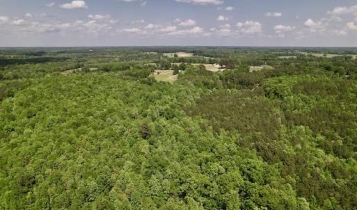 Photo #15 of SOLD property in Off East River Road, Louisburg, NC 10.1 acres