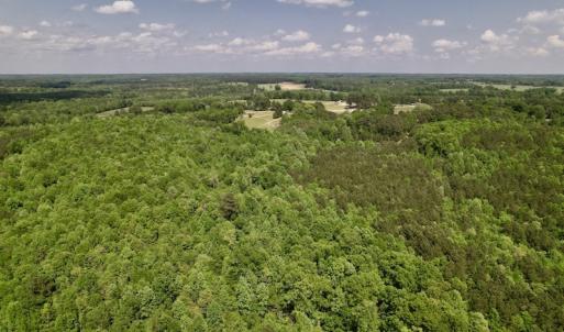 Photo #15 of SOLD property in Off East River Road, Louisburg, NC 10.1 acres