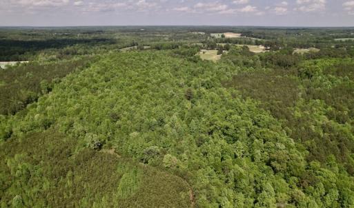 Photo #16 of SOLD property in Off East River Road, Louisburg, NC 10.1 acres