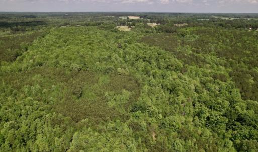 Photo #17 of SOLD property in Off East River Road, Louisburg, NC 10.1 acres