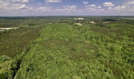 Photo #18 of SOLD property in Off East River Road, Louisburg, NC 10.1 acres
