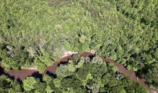 Photo #21 of SOLD property in Off East River Road, Louisburg, NC 10.1 acres