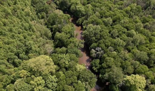 Photo #23 of SOLD property in Off East River Road, Louisburg, NC 10.1 acres