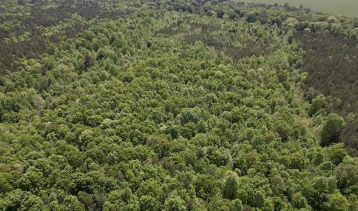 Photo #24 of SOLD property in Off East River Road, Louisburg, NC 10.1 acres