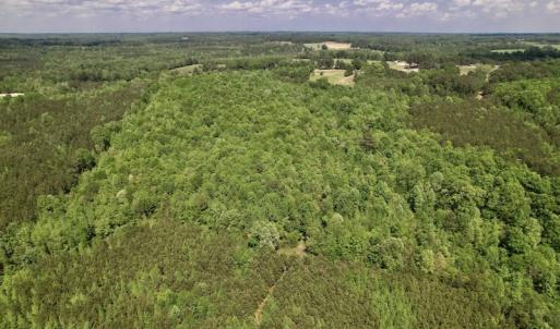 Photo #25 of SOLD property in Off East River Road, Louisburg, NC 10.1 acres
