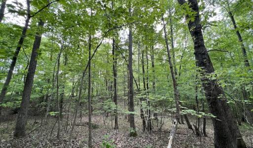 Photo #30 of SOLD property in Off East River Road, Louisburg, NC 10.1 acres