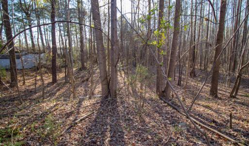 Photo #17 of SOLD property in Off Webb Hill St, Roanoke Rapids, NC 8.6 acres