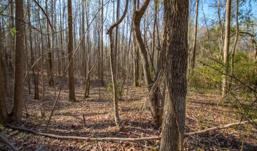 Photo #18 of SOLD property in Off Webb Hill St, Roanoke Rapids, NC 8.6 acres