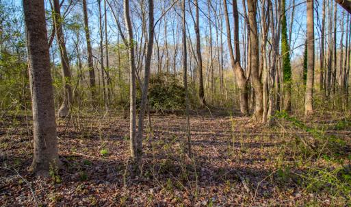 Photo #19 of SOLD property in Off Webb Hill St, Roanoke Rapids, NC 8.6 acres