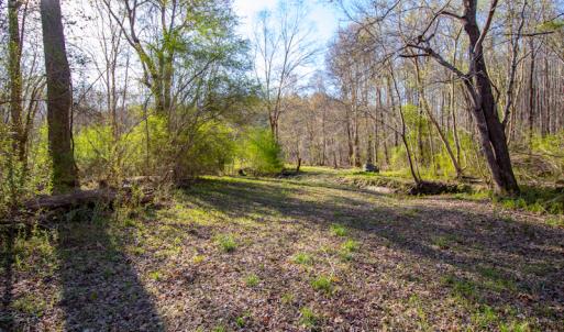 Photo #20 of SOLD property in Off Webb Hill St, Roanoke Rapids, NC 8.6 acres