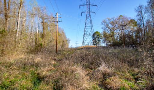 Photo #21 of SOLD property in Off Webb Hill St, Roanoke Rapids, NC 8.6 acres