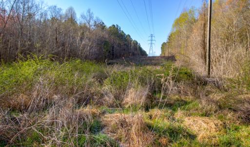 Photo #22 of SOLD property in Off Webb Hill St, Roanoke Rapids, NC 8.6 acres