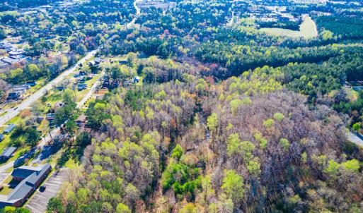 Photo #6 of SOLD property in Off Webb Hill St, Roanoke Rapids, NC 8.6 acres