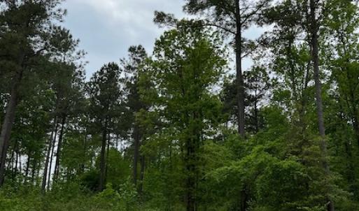 Photo #3 of #50 Sail View Lane, Macon, NC 1.0 acres