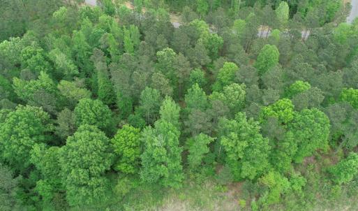 Photo #9 of #50 Sail View Lane, Macon, NC 1.0 acres