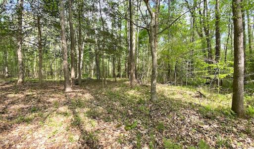 Photo #11 of SOLD property in Off Mineral Spring Rd , Whaleyville, VA 15.0 acres