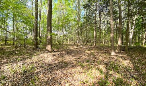 Photo #12 of SOLD property in Off Mineral Spring Rd , Whaleyville, VA 15.0 acres