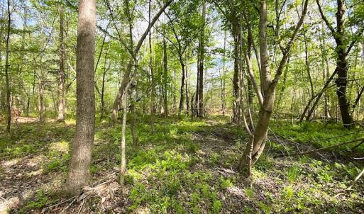 Photo #14 of SOLD property in Off Mineral Spring Rd , Whaleyville, VA 15.0 acres