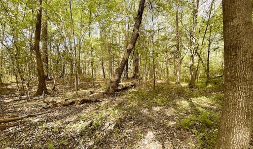Photo #15 of SOLD property in Off Mineral Spring Rd , Whaleyville, VA 15.0 acres