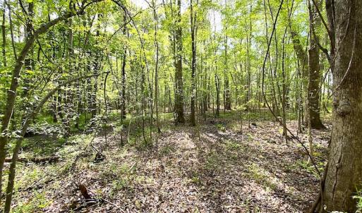 Photo #16 of SOLD property in Off Mineral Spring Rd , Whaleyville, VA 15.0 acres