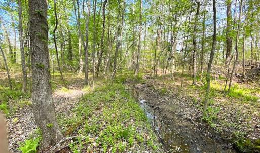 Photo #17 of SOLD property in Off Mineral Spring Rd , Whaleyville, VA 15.0 acres