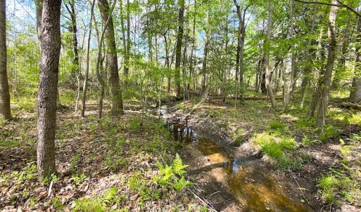 Photo #18 of SOLD property in Off Mineral Spring Rd , Whaleyville, VA 15.0 acres