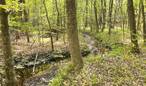Photo #19 of SOLD property in Off Mineral Spring Rd , Whaleyville, VA 15.0 acres