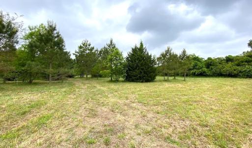 Photo #20 of SOLD property in Off Mineral Spring Rd , Whaleyville, VA 15.0 acres