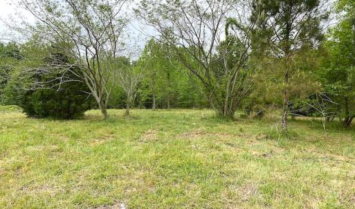 Photo #21 of SOLD property in Off Mineral Spring Rd , Whaleyville, VA 15.0 acres