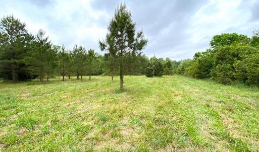 Photo #23 of SOLD property in Off Mineral Spring Rd , Whaleyville, VA 15.0 acres