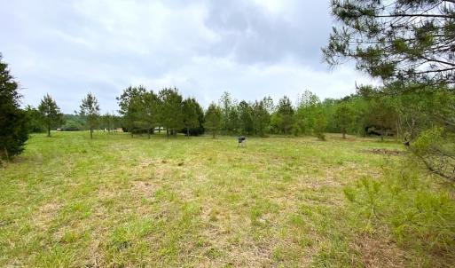 Photo #24 of SOLD property in Off Mineral Spring Rd , Whaleyville, VA 15.0 acres