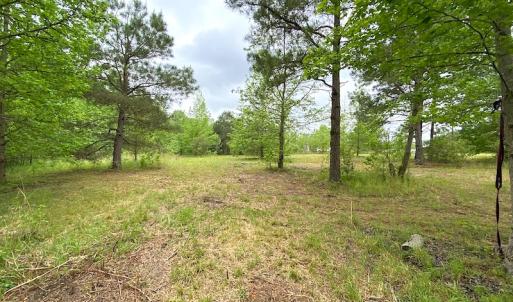 Photo #25 of SOLD property in Off Mineral Spring Rd , Whaleyville, VA 15.0 acres