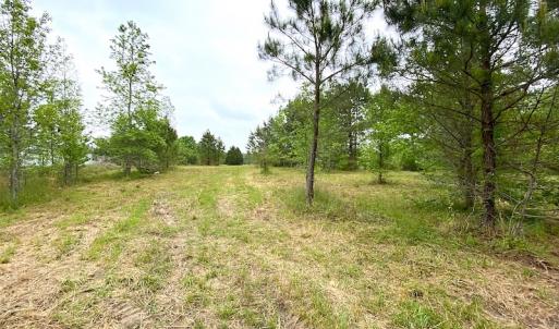 Photo #26 of SOLD property in Off Mineral Spring Rd , Whaleyville, VA 15.0 acres