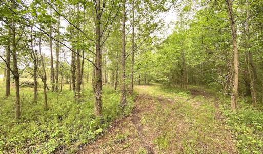 Photo #27 of SOLD property in Off Mineral Spring Rd , Whaleyville, VA 15.0 acres