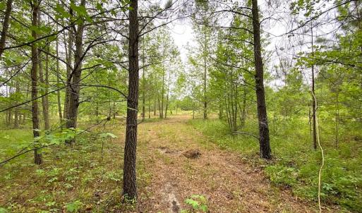 Photo #29 of SOLD property in Off Mineral Spring Rd , Whaleyville, VA 15.0 acres