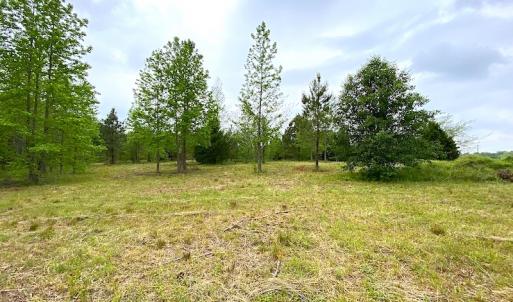 Photo #32 of SOLD property in Off Mineral Spring Rd , Whaleyville, VA 15.0 acres