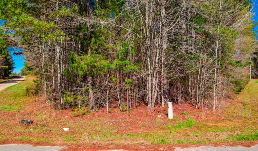 Photo #11 of SOLD property in Off Rascob Road, Sanford, NC 14.0 acres