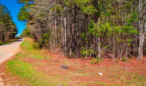 Photo #12 of SOLD property in Off Rascob Road, Sanford, NC 14.0 acres