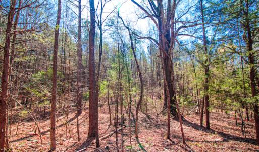 Photo #13 of SOLD property in Off Rascob Road, Sanford, NC 14.0 acres