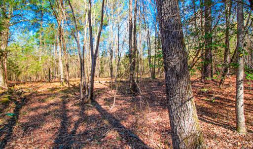 Photo #14 of SOLD property in Off Rascob Road, Sanford, NC 14.0 acres