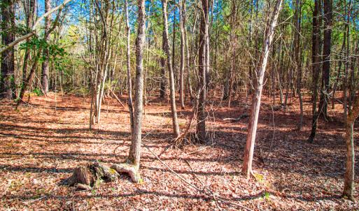 Photo #15 of SOLD property in Off Rascob Road, Sanford, NC 14.0 acres