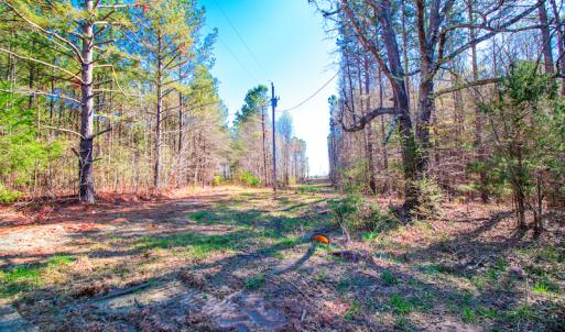 Photo #16 of SOLD property in Off Rascob Road, Sanford, NC 14.0 acres