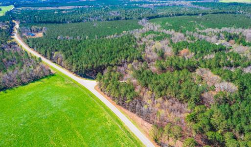 Photo #23 of SOLD property in Off Rascob Road, Sanford, NC 14.0 acres