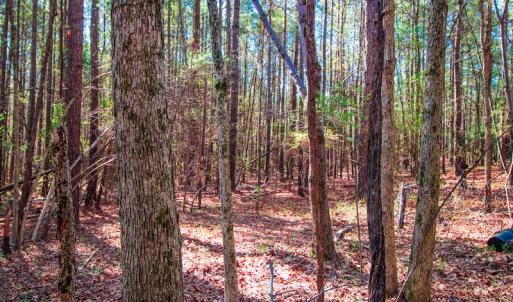 Photo #30 of SOLD property in Off Rascob Road, Sanford, NC 14.0 acres