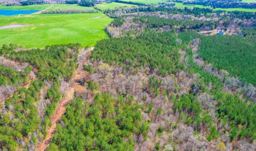 Photo #4 of SOLD property in Off Rascob Road, Sanford, NC 14.0 acres