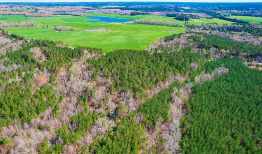 Photo #5 of SOLD property in Off Rascob Road, Sanford, NC 14.0 acres