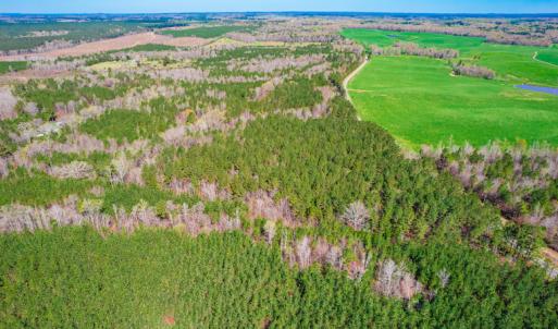Photo #6 of SOLD property in Off Rascob Road, Sanford, NC 14.0 acres