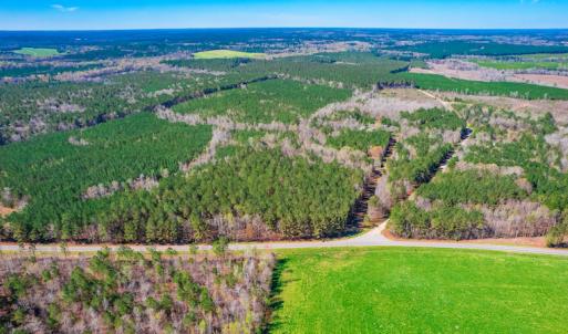 Photo #8 of SOLD property in Off Rascob Road, Sanford, NC 14.0 acres