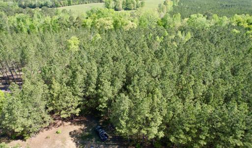 Photo #10 of SOLD property in On Spraggins Road, Gasburg, VA 7.3 acres