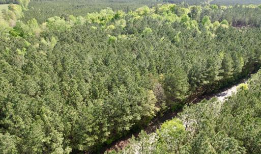 Photo #11 of SOLD property in On Spraggins Road, Gasburg, VA 7.3 acres